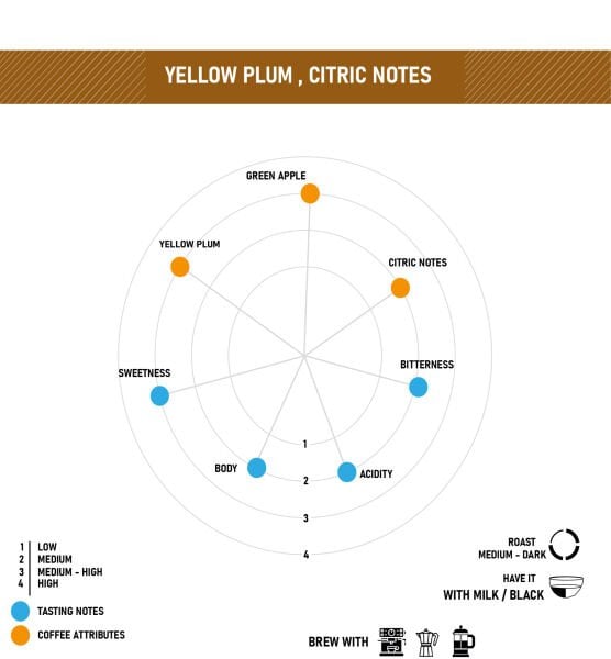 KOLOMBİYA Coocentral  Castillo Yöresel Kahve