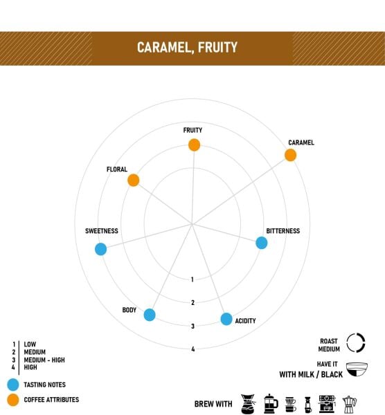 Guatemala Las Palmas Single Origin 1x 100 kg