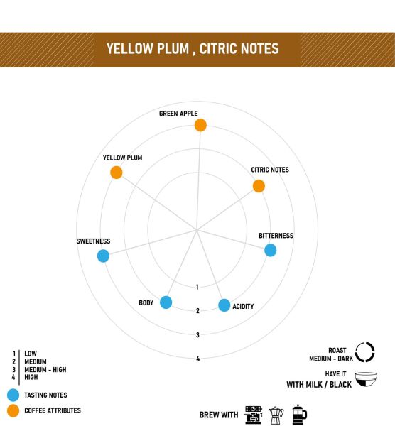 KOLOMBİYA Coocentral  Castillo Yöresel Kahve 15 kg Çekirdek