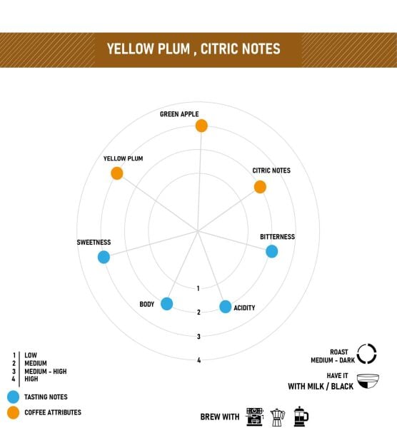 KOLOMBİYA Coocentral  Castillo Yöresel Kahve 15 kg Çekirdek