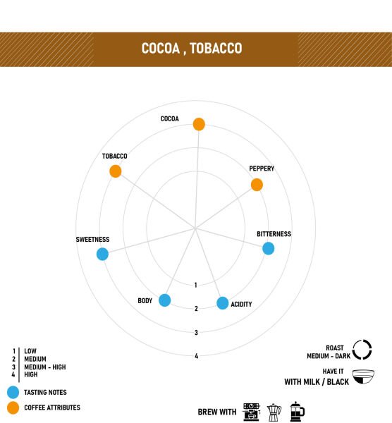 ENDONEZYA JAVA Kahve Çekirdeği