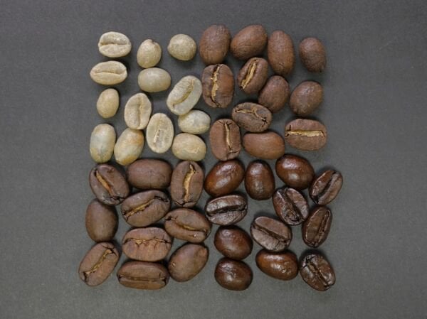Recon Coffee Sallama Filtre Kahve 20 adet